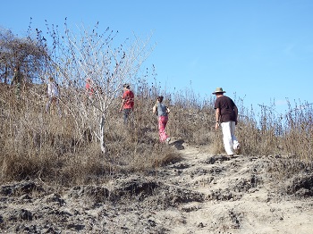 Trekking on Komodo island to see the Komodo dragon